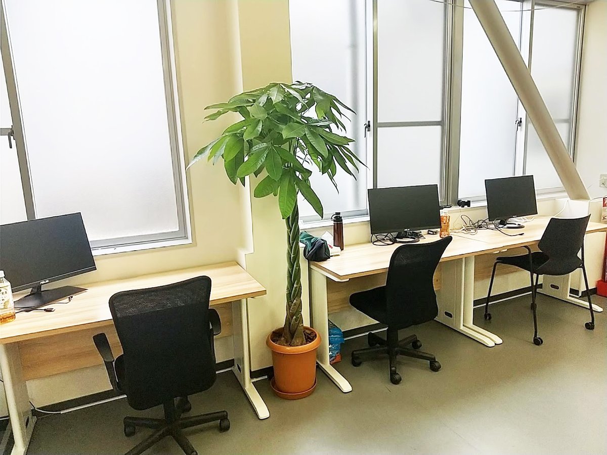 エレファンテック株式会社 フレキシブル基板 P Flex Amc名古屋のオフィスエリアのパキラに癒されています パキラは リラックス効果もありながら やる気も与えてくれる 風水効果抜群な観葉植物 で仕事運も高まるとのこと 運気をあげながらamc名古屋