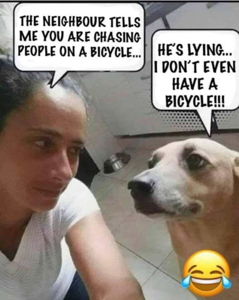 cruzzeroutdoors's tweet photo. For my tweeps who have dogs as pets, https://t.co/lAiY4hIXoD