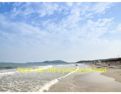 UPlantATree's tweet image. Plastic tea bags shed billions of microplastic particles into the cup newscientist.com/article/221748…, wash all your trash, #ShellNo