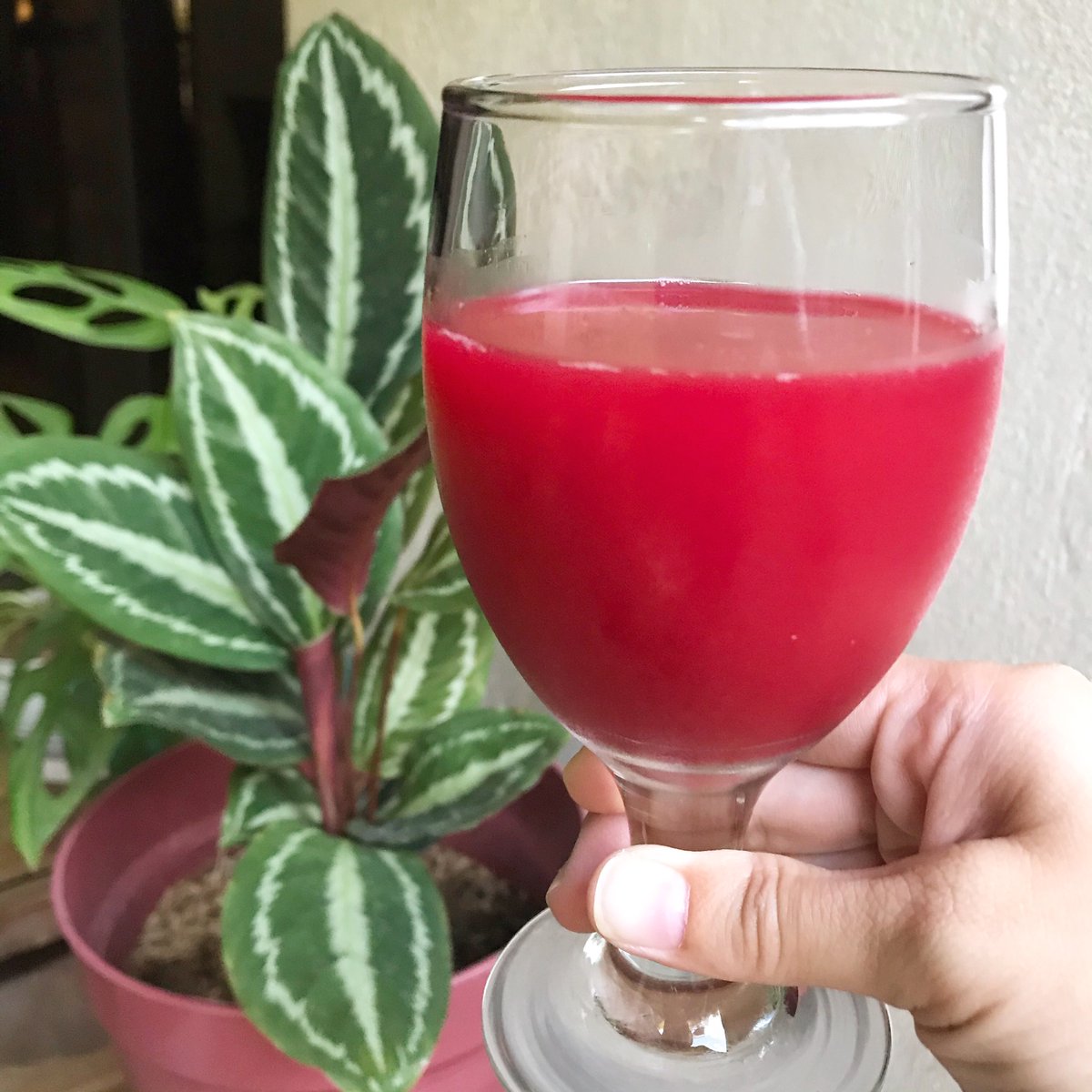 nikkasarthou's tweet photo. Drinking my fruits and veggies for the day—a blend of sugar beets, carrots, pineapple, apple, and ginger. Since the start of quarantine, I’ve been doing weekly juicing to boost my immune system—so far, so good! Let’s all stay healthy! 💪
#food #slowjuice #juicing #feelinghealthy https://t.co/r1MCWzFHFw