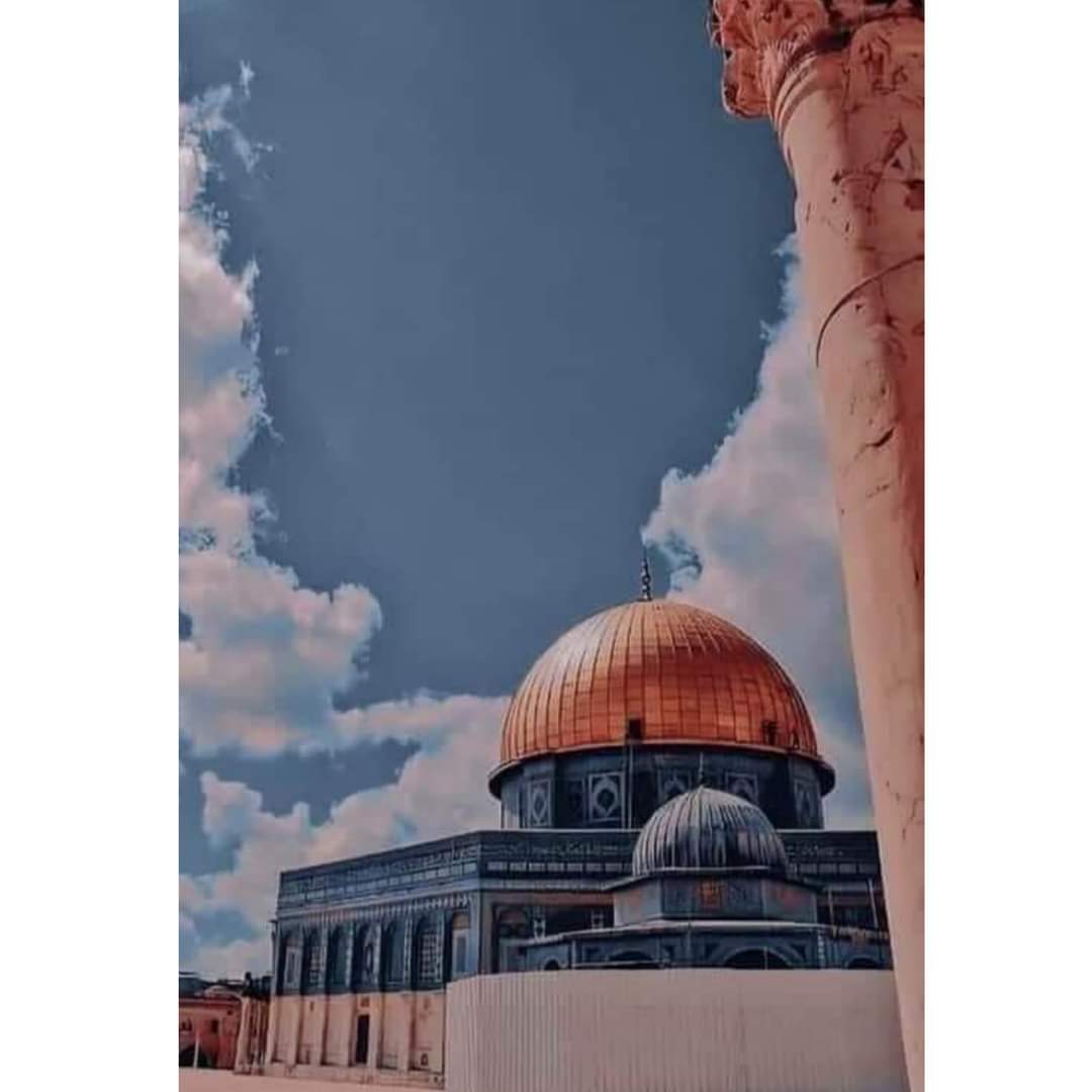 ibrahim99744's tweet photo. إنّما نحنُ أبناءُ العظيمة فلسطين، نُحبُّها نيابةً عن كُلّ الذين باعُوها ". 
فمن لم تكن فلسطين قضيته الأولى، فلا قضية لهُ ولا مبدأ 🇵🇸 https://t.co/2jT9C25s84