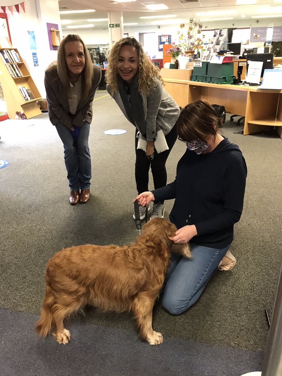 MCBFestival's tweet image. Delivering school class sets of #BoyEverywhere to #GortonLibrary Marley’s working hard and enjoying the fuss. #ReadMcr