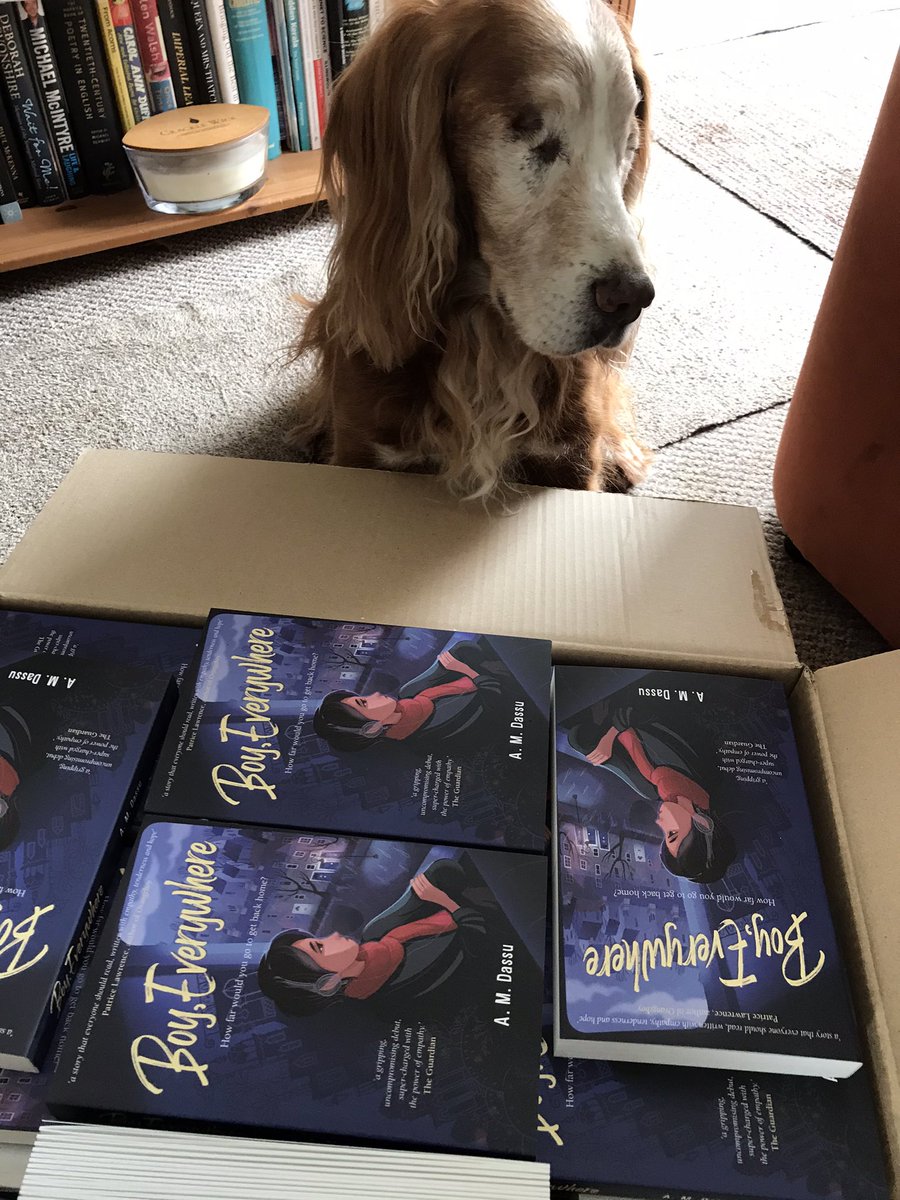 MCBFestival's tweet image. Delivering school class sets of #BoyEverywhere to #GortonLibrary Marley’s working hard and enjoying the fuss. #ReadMcr