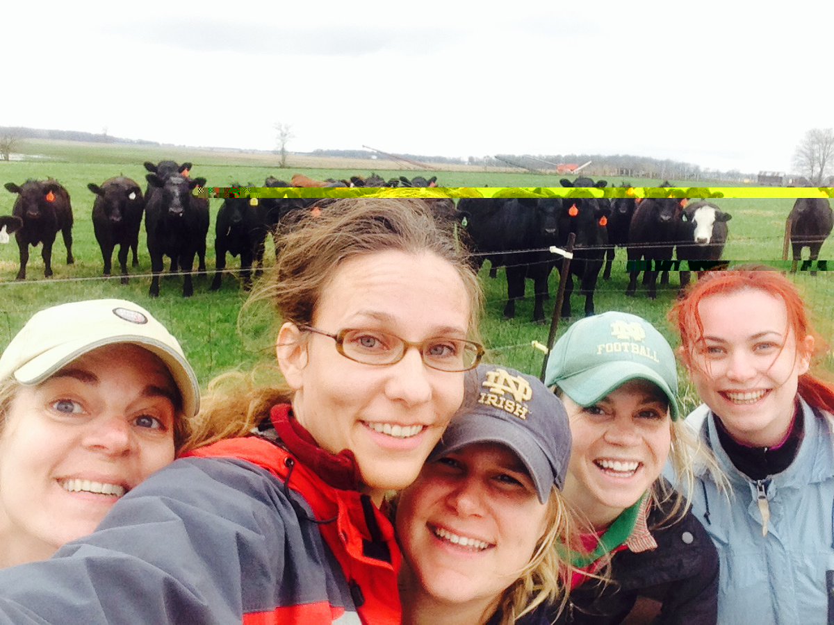 puffchristopher's tweet photo. Thank you to my coauthors (@jenniferltank @ToddVRoyer @BrHanrahan #notwitterUrsulaMahl #tanklab) and all the people in the #IndianaWatershedInitiative who helped make this research happen. Thanks also to the local #SWCDs and the #farmers! 6/6 https://t.co/w0lIbTQAZK