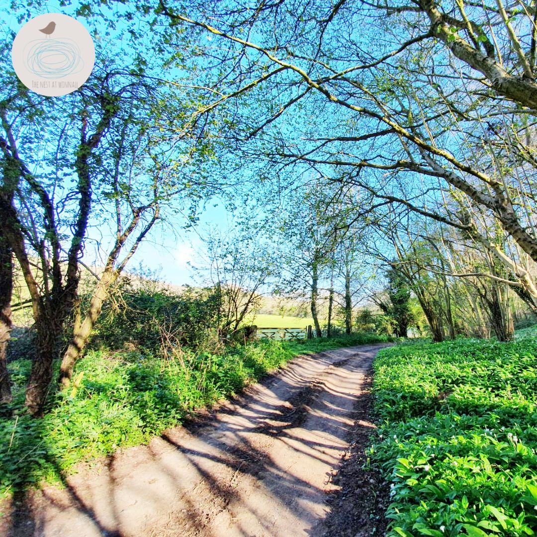 The Nest at Winnall has several  #walking routes you can access straight out of the door. We have a short break in June available, our only availability for months - so if you’d like to experience the stunning #Worcestershire #countryside, book now! 

buff.ly/2O9p4HH