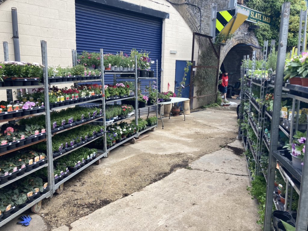 Rachel Tripp tweet media