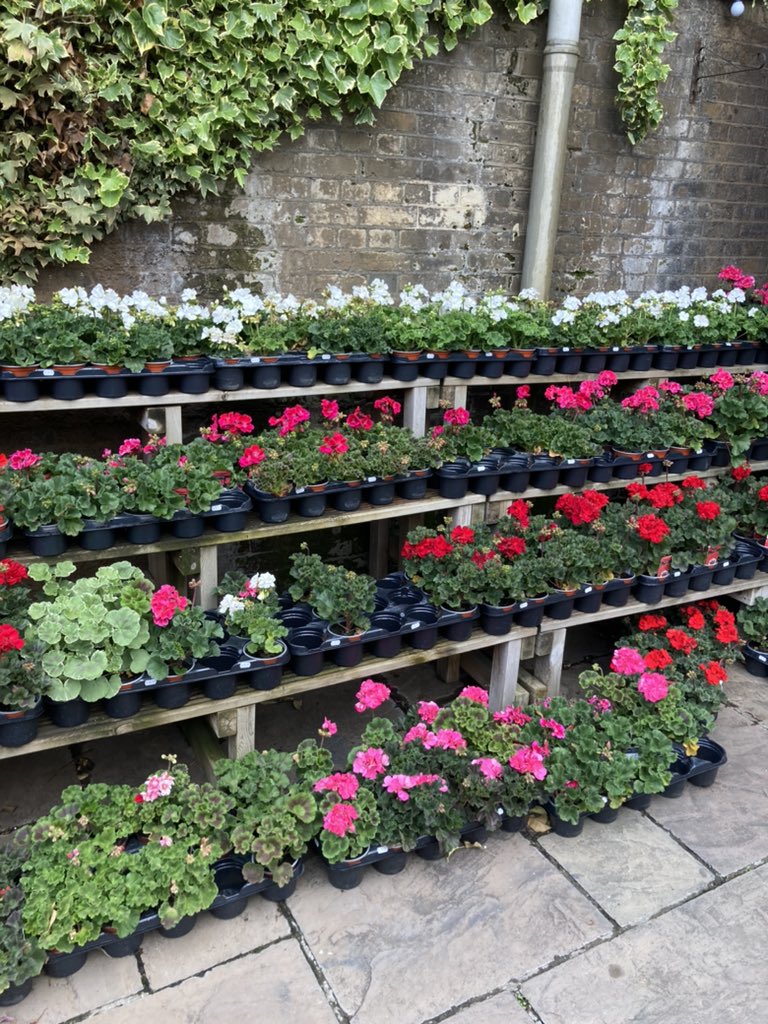 Rachel Tripp tweet media