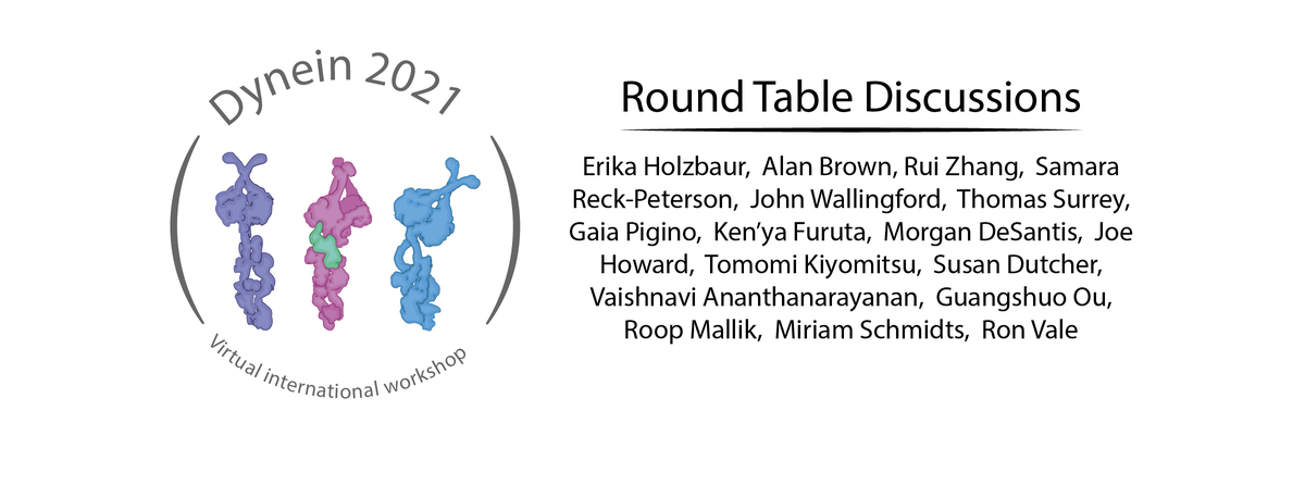 Carter Lab (@carter_lab) on Twitter photo Dynein 2021 - Round Table Discussions.
<a href="/ErikaHolzbaur/">Erika Holzbaur-Howland</a> <a href="/alanbrownhms/">Alan Brown</a> <a href="/RuiZhangWUSTL/">Rui Zhang</a> <a href="/SamReckPeterson/">Samara Reck-Peterson</a> <a href="/jbwallingford/">John Wallingford</a> @surrey_lab <a href="/GaiaPigino/">Gaia Pigino</a> <a href="/morgan_desantis/">Morgan DeSantis</a> <a href="/DutcherLab/">Susan Dutcher</a> <a href="/VaishAnanth/">Vaishnavi Ananthanarayanan (She/Her)</a> and more
For full details dynein2021.org
Registration Open! Dynein 2021 - Round Table Discussions.
<a href="/ErikaHolzbaur/">Erika Holzbaur-Howland</a> <a href="/alanbrownhms/">Alan Brown</a> <a href="/RuiZhangWUSTL/">Rui Zhang</a> <a href="/SamReckPeterson/">Samara Reck-Peterson</a> <a href="/jbwallingford/">John Wallingford</a> @surrey_lab <a href="/GaiaPigino/">Gaia Pigino</a> <a href="/morgan_desantis/">Morgan DeSantis</a> <a href="/DutcherLab/">Susan Dutcher</a> <a href="/VaishAnanth/">Vaishnavi Ananthanarayanan (She/Her)</a> and more
For full details dynein2021.org
Registration Open!