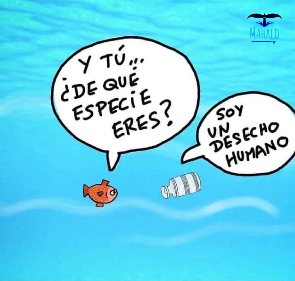Mahalo71496954's tweet photo. Diálogos en el fondo del mar
Porque no es sólo un trozo de plástico. ES UN ARMA QUE MATA EN SILENCIO.
¡El reto sigue! 💪🌎
#Recicla
#Reduce
#Reutiliza
#worldsurf #mahalo #oceano #life #surf #respect #playa #oceanoslimpios #juntospodemoslograrlo #noplactic #planeta #salvamento https://t.co/pXgyC6KVCE