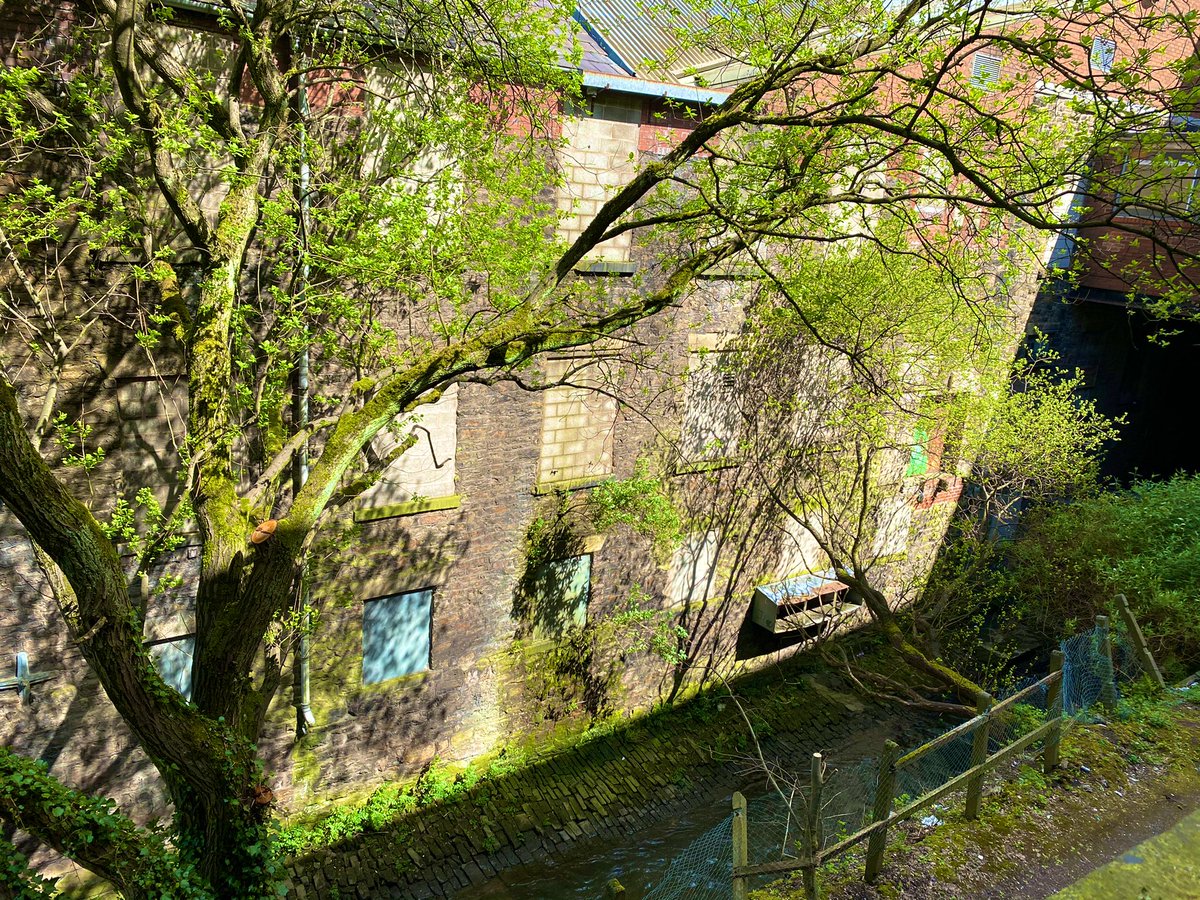 VicHallBMM's tweet photo. Having no window makes for the perfect photo op 📸 

#bolton #hidden #hiddenbolton #underground #victorian #uk #greatermanchester #northwest #urban #urbex #heritage #history #victoriahall #green #spring #summer #tree #river #croal #theatre #savethearts #music #photo #photography https://t.co/5WjVsc19cP