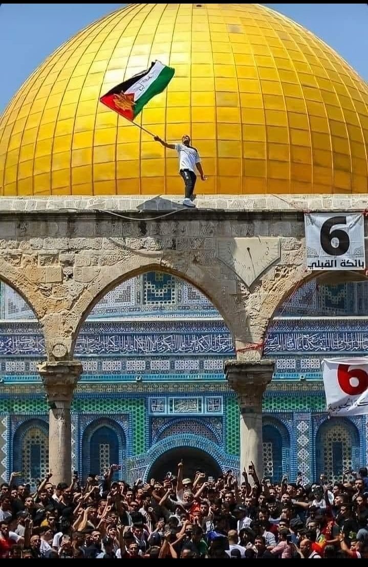 Is i palestine for name my stand I Stand