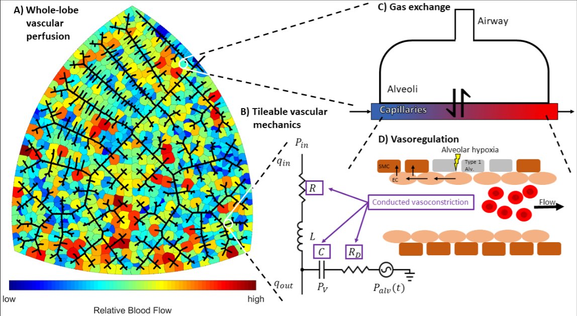 Dan Michele tweet media