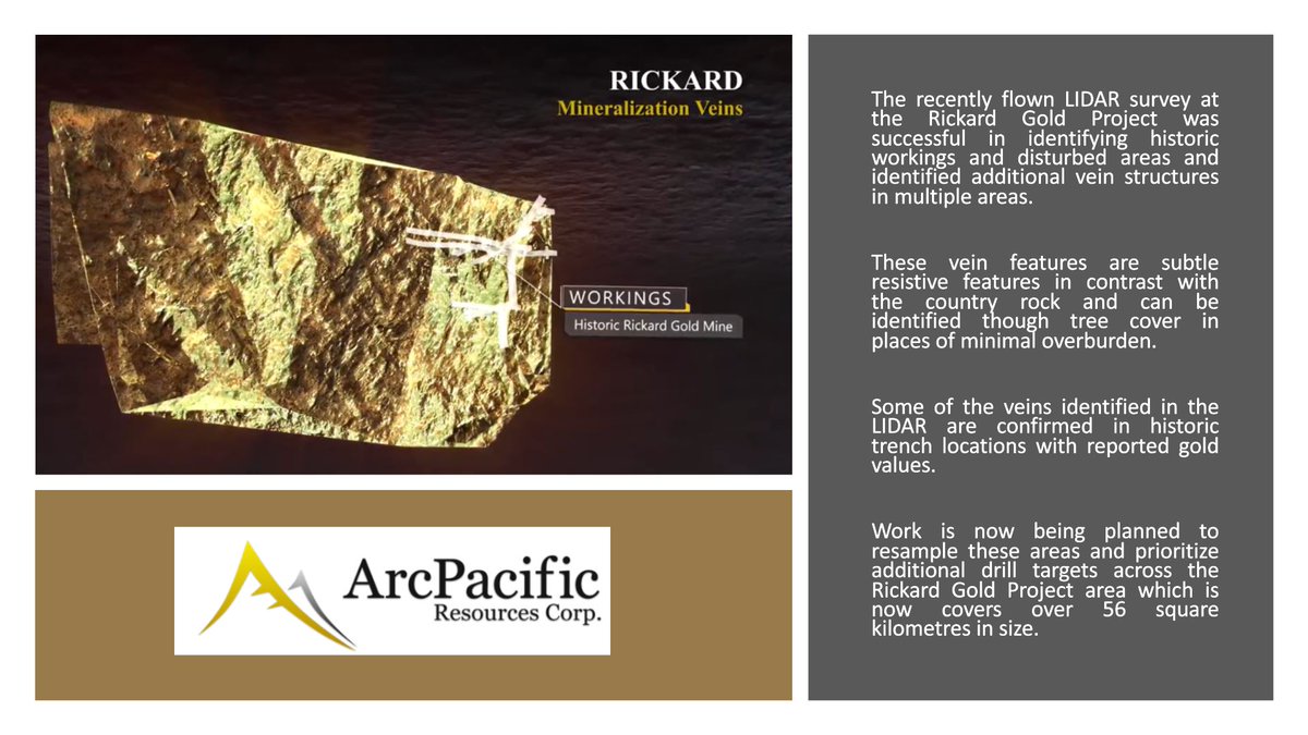 FirstAtlanticNi's tweet photo. The recently flown LIDAR survey at the #Rickard #Gold Project was successful in identifying historic workings and disturbed areas and identified additional vein structures in multiple areas. β
$ACP.V #ACP #Timmins #Ontario #Canada #mining #metals #exploration #stocks #investment https://t.co/cc9jS9LY0v