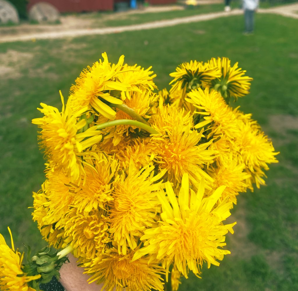 Visst är barn fantastiska!
Jag tar mig ut till vår gård, solen värmer med sina strålar och leken är i full gång. Jag sätter mig ner hos två av barnen, pratar med dem på deras nivå och plötsligt står ett gäng runtomkring mig och samtalet flyter på #förskolan
Sen är jag blomvakt 😀