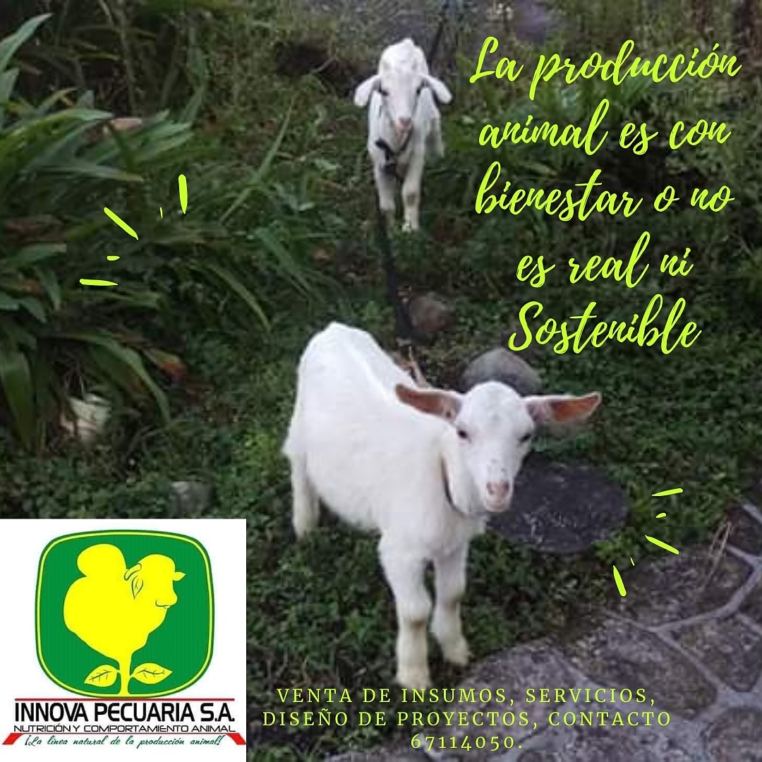 vadteples's tweet photo. Feliz día a todos. #ganaderia #bienestaranimal https://t.co/McPvw9dLrQ