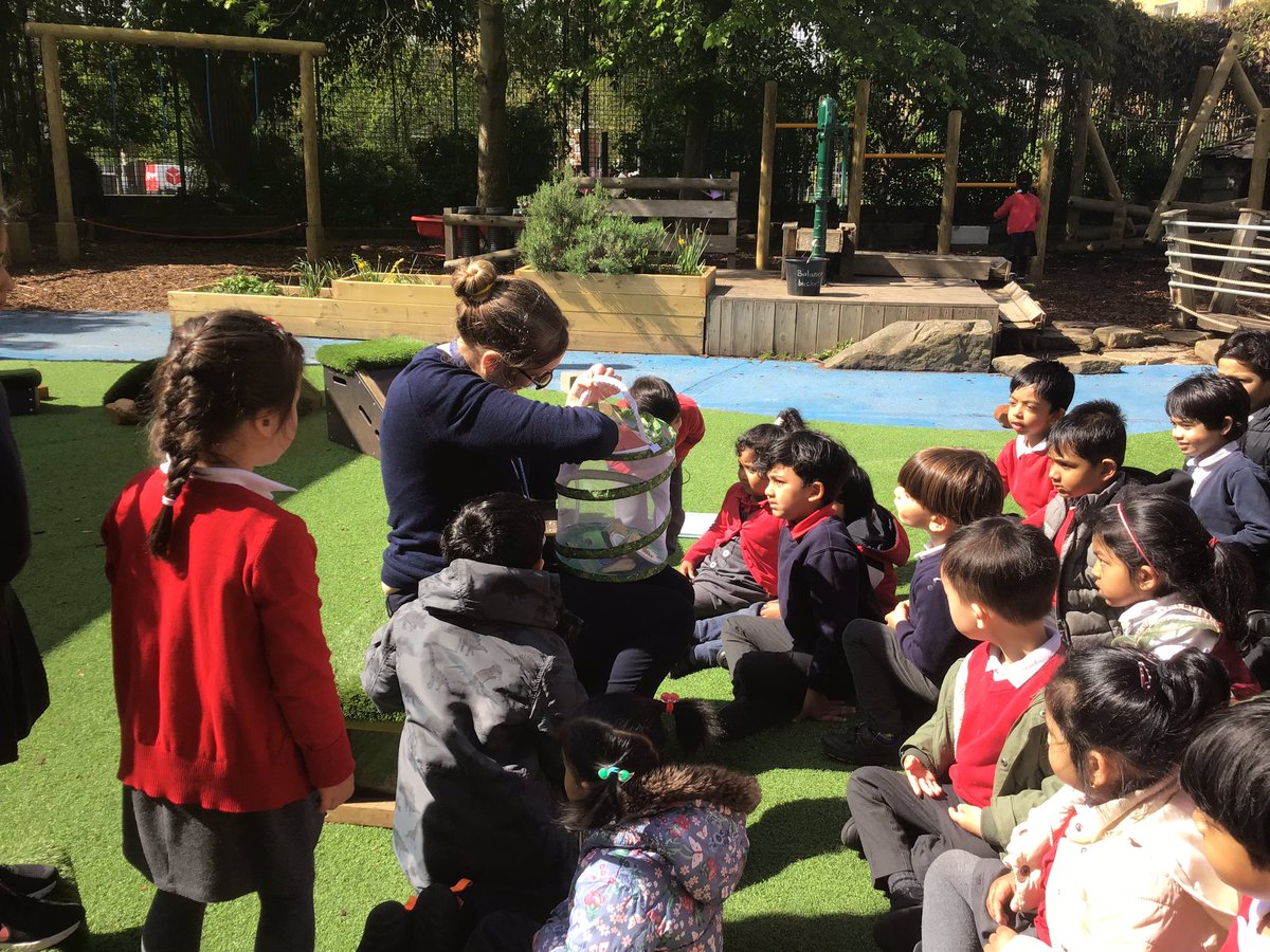 MayflowerSch's tweet photo. #caterpillarwatch the first of our very hungry caterpillars have become butterflies and we released them in the EYFS garden today. #kapoor #understandingtheworld #science #observingovertime #eyfs https://t.co/Nq3NSKBUBj