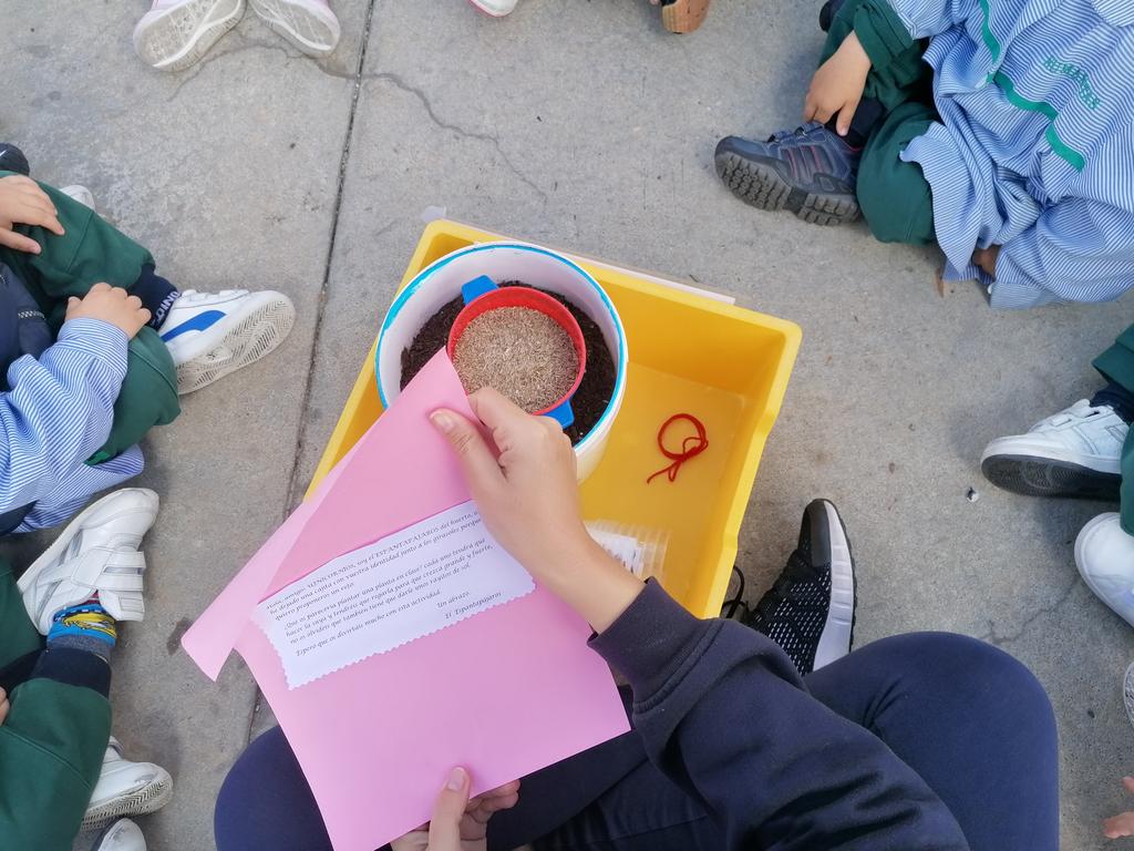 yolinursery's tweet photo. En la visita al huerto nos hemos encontrado con una caja sorpresa donde el espantapájaros nos ha dejado un reto: plantar cada uno una planta en clase y verla crecer, seremos capaces???
#primavera
#clasedelosunicornios
#cespin
@HBSTORREJON https://t.co/5Hpe82XnUU