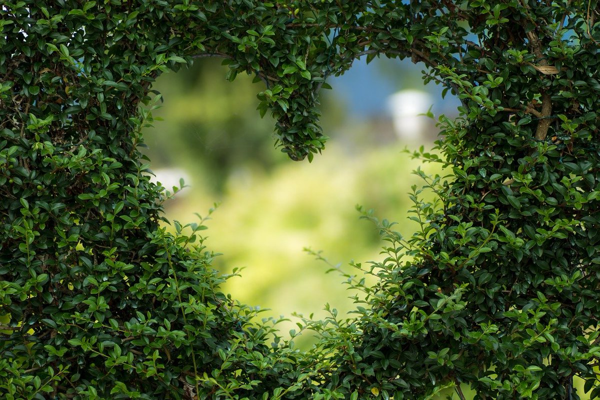 This year’s Mental Health Awareness Week theme is “Nature”. Stand outside, among all those uplifting, leafy May scents, and breathe… tinyurl.com/3sym4pa2 #MHAW #Nature #May #SpringScents #wellness #MentalHealthAwarenessWeek2021