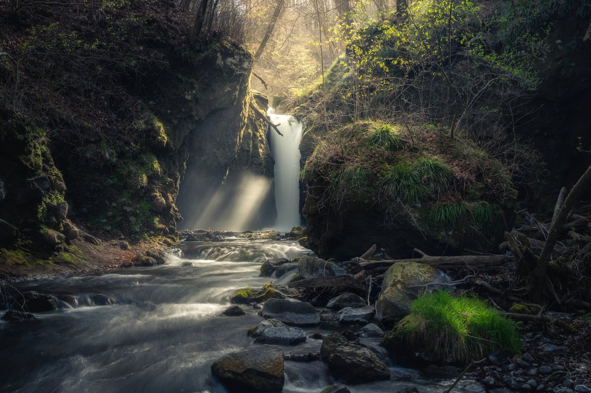 sakika867's tweet image. たたずむ神秘の空間

#東京カメラ部