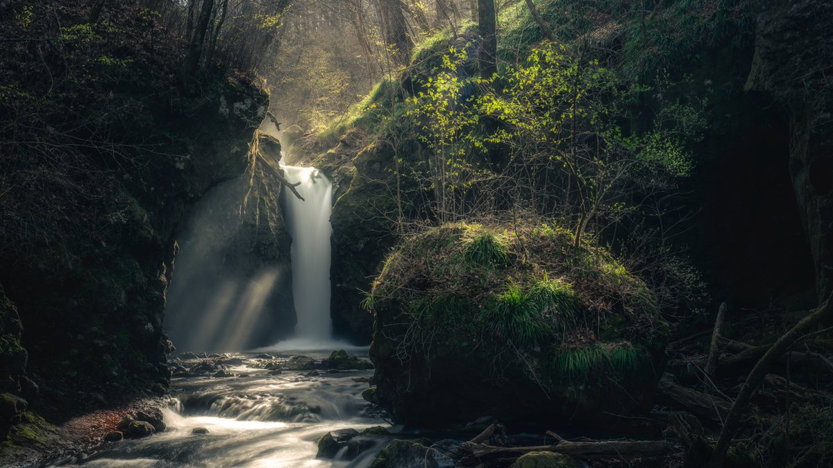 sakika867's tweet image. たたずむ神秘の空間

#東京カメラ部