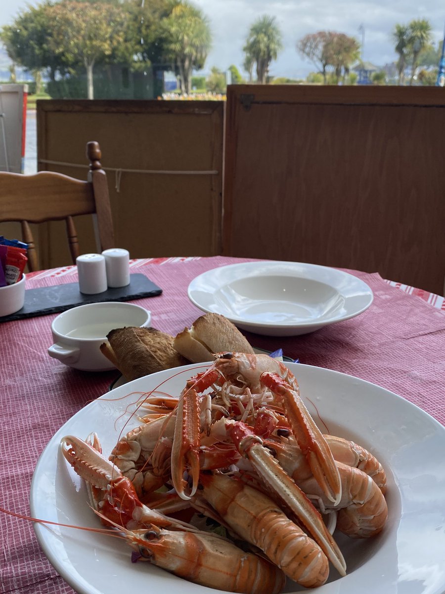 Robin McKelvie tweet media