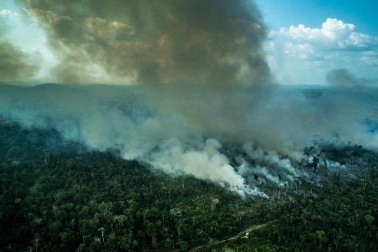 Die Zerstörung des Amazonas schreitet fort - im April wurde 43% mehr abgeholzt als im Vorjahr. Auch 🇩🇪 ist mitschuldig: z.B. durch Importe von Produkten aus Waldzerstörung und einem Handelsdeal, der noch mehr Öl ins Feuer gießt: act.gp/3vS4Q5M #SayNoEuMercosur