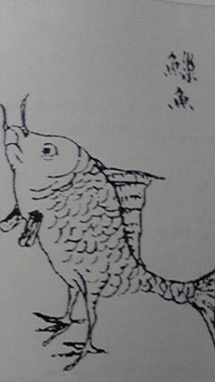 #TLに魚が横切る 