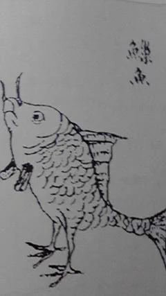 #TLに魚が横切る 