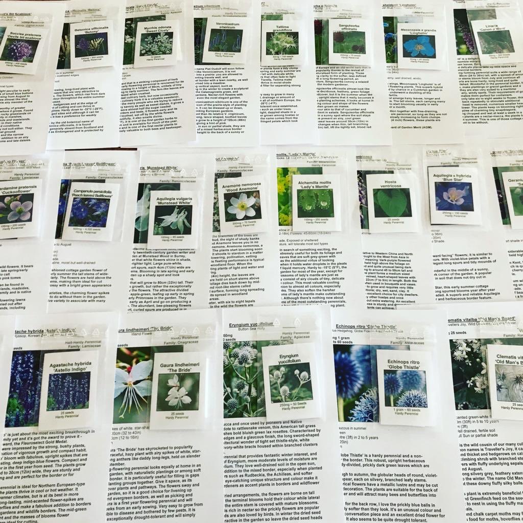 @Strongwesterlies (@derreen2) on Twitter photo Seed delivery excitement here <a href="/derreen2/">@Strongwesterlies</a> ! Such a great service. Brilliant, useful and lovely information with every seed variety. Thank you <a href="/seedaholic/">Seedaholic</a> . <a href="/norrislou/">Louise Power</a> Seed delivery excitement here <a href="/derreen2/">@Strongwesterlies</a> ! Such a great service. Brilliant, useful and lovely information with every seed variety. Thank you <a href="/seedaholic/">Seedaholic</a> . <a href="/norrislou/">Louise Power</a> 