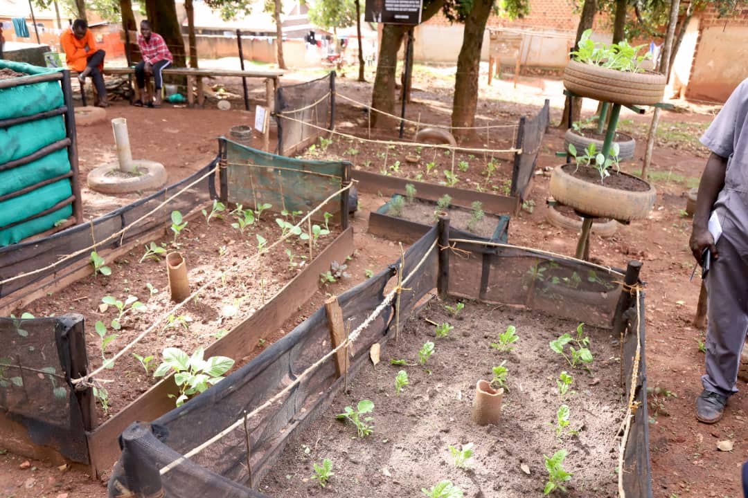 dreamtownngo's tweet image. Big shout out to the #GhettoGoGreen team in #Kinawataka from Christian Youth Missionary Group who have won the award as best youth farmers in #Kampala in @FAO's Youth Inspiring Youth in Agriculture Competition🙌🌱@activecitizensu #Uganda #GreenCity4All #SDG11