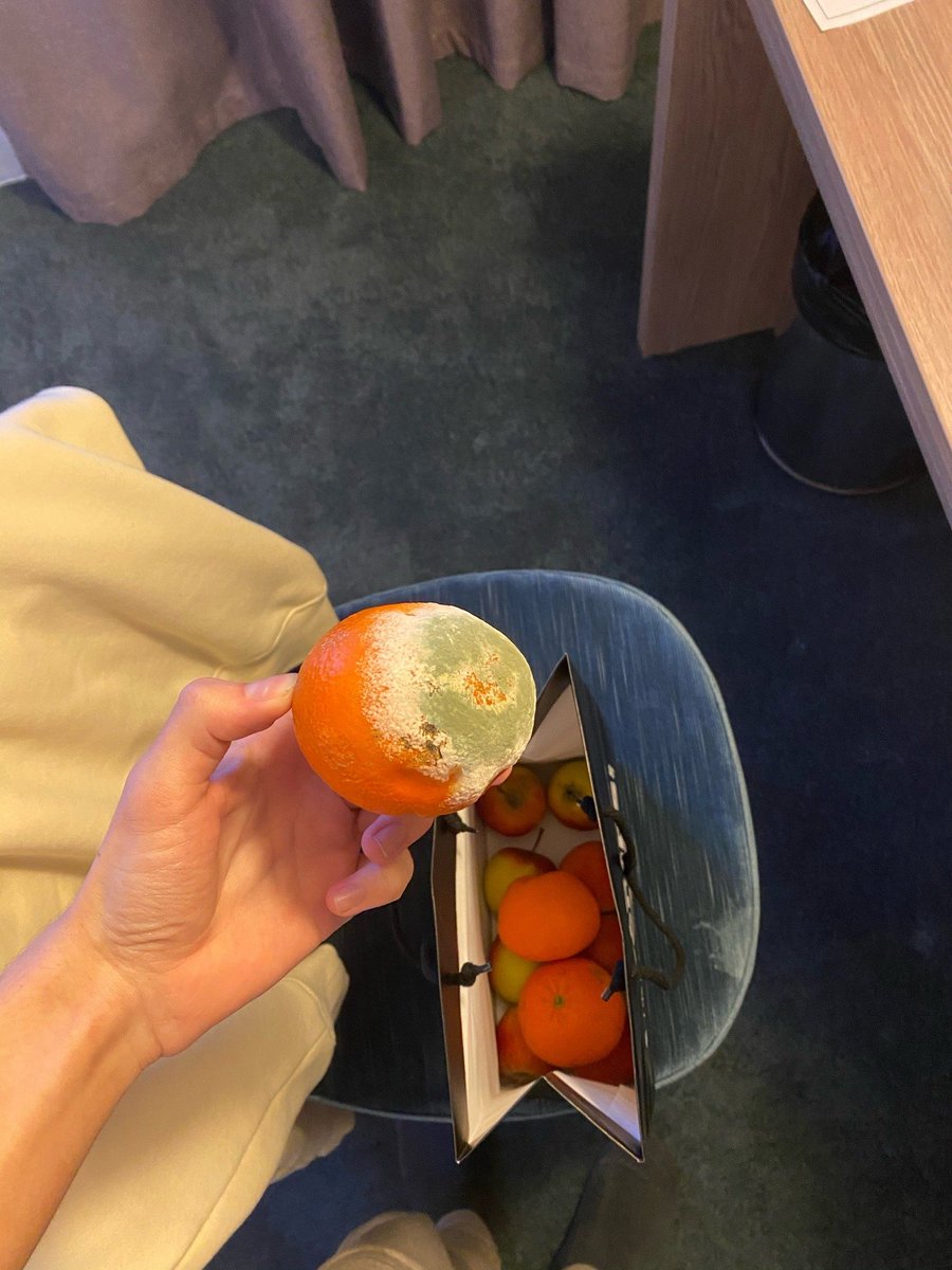 Олег Кучин tweet media