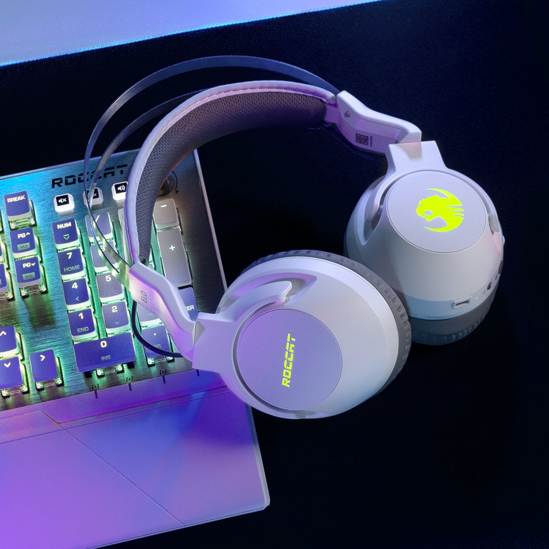 Turtle Beach France (ex ROCCAT) tweet media