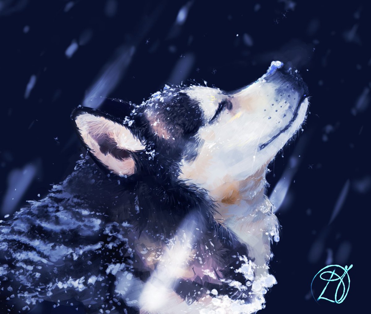 BlankyCat's tweet photo. Snowy Husky Drawing!!!
I actually tried with this one hope you guys like it!
I'm more feline gang, but if I were to have a dog it definitely would be a Husky!
#snow #snowy #relistic #husky #dog #dogs #drawing #digitalart #dogsoftwitter https://t.co/sfZDUjzSVX
