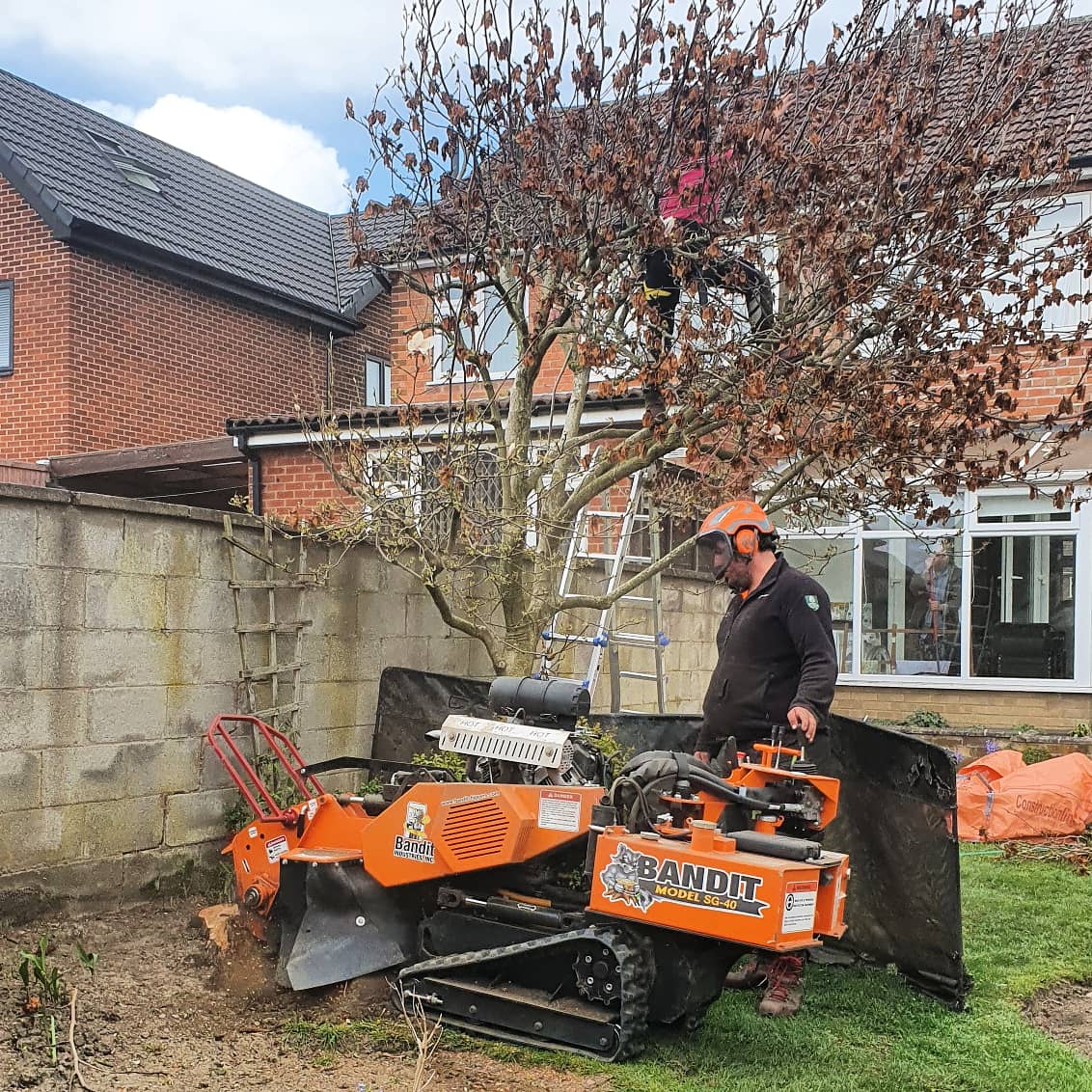 Up above and down below!
Stumps being ground out by Adam with the Bandit SG-40 stump grinder 🦝
The future flowerbeds can thrive obstacle free! 

#stumpgrinding #stumpgrinder #bandit @bandit_europe @bandittreeequipment @banditchippers #treework #treecare #treesurgeon