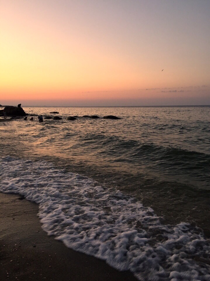 Archillct's tweet image. 