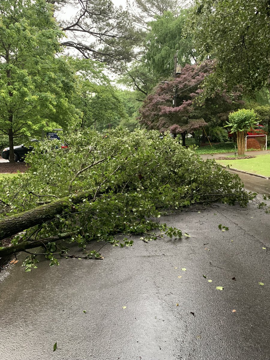 tachilles28's tweet photo. @ATL311 we’ve got a limb from a tree in our yard that fell across our street. Do you guys help with this so the street isn’t blocked or is that only a private tree service thing? Thank you! https://t.co/xI0UvRrhKs