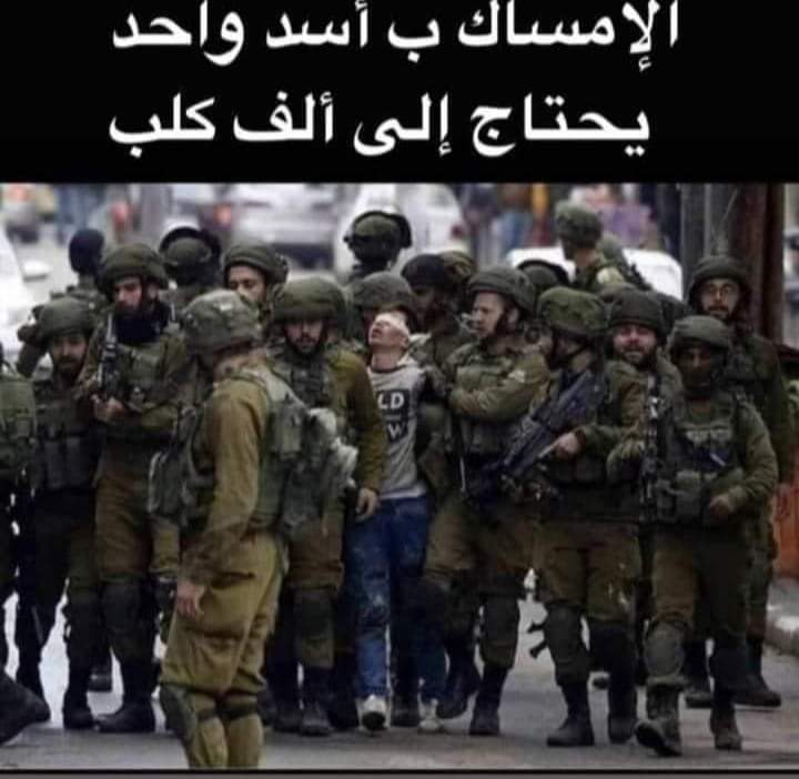 حنظله ✌ح / 10 tweet media