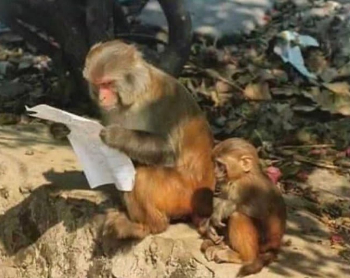 EmmanuelOmondi_'s tweet image. Dad: Kijana yangu sasa D- ndo unaeza Pata after four years.......
Son:Nilishikwa na Corona nkiwa shule 💔💔💔 ka si Corona sai ngekuwa na A😭😭😢
@OneOlwoch
@sponjy
@TonySmith254
#KCSE2020 #kcse2020results