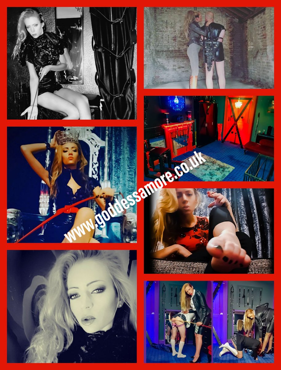 Amore Music 🎵🎶 😎🤘 tweet media