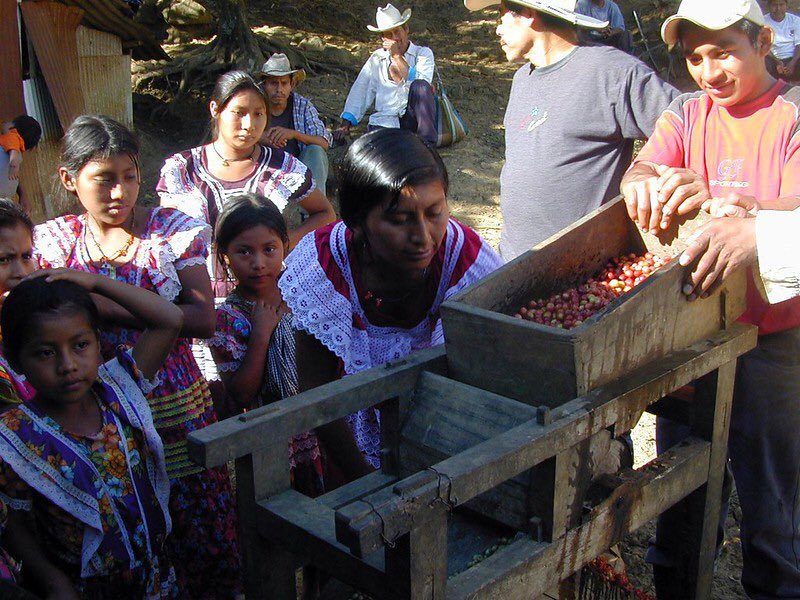 #Climatechange and natural disasters threaten livelihoods and kickstart #migration across Central America. Read more from  @kianseararey here: themantle.com/international-…