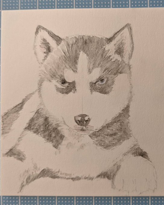 ハスキーのtwitterイラスト検索結果 古い順