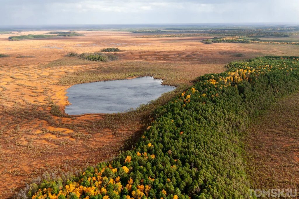 Самая крупная река западно сибирской равнины. Западно Сибирская равнина Васюганское болото. Васюганские болота Томская область. Васюганские болота заповедник. Болото Васюганское болото.