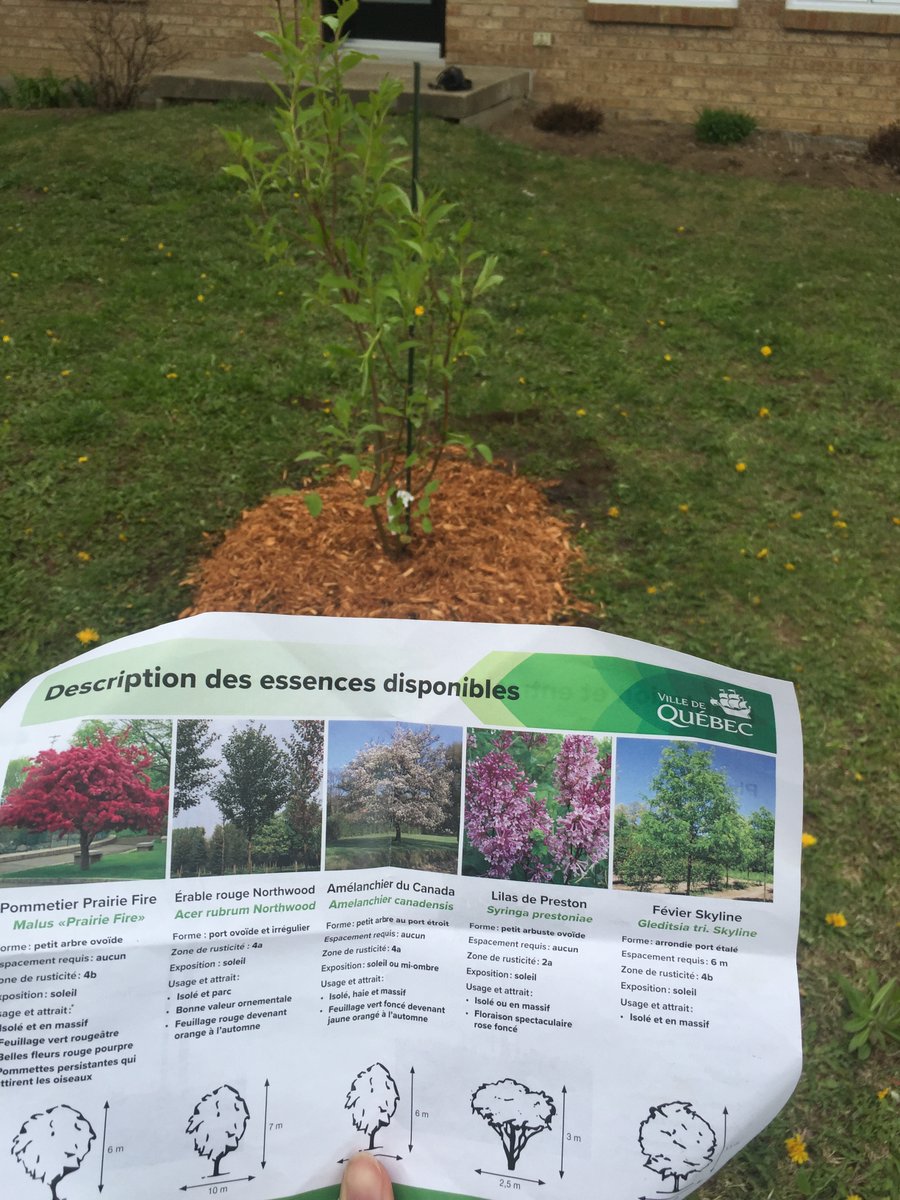 Merci à la <a href="/villequebec/">Ville de Québec</a> pour le lilas qui viendra fleurir notre façade dans le cadre de la Journée de #distribution d’#arbres. 🌳🌸
