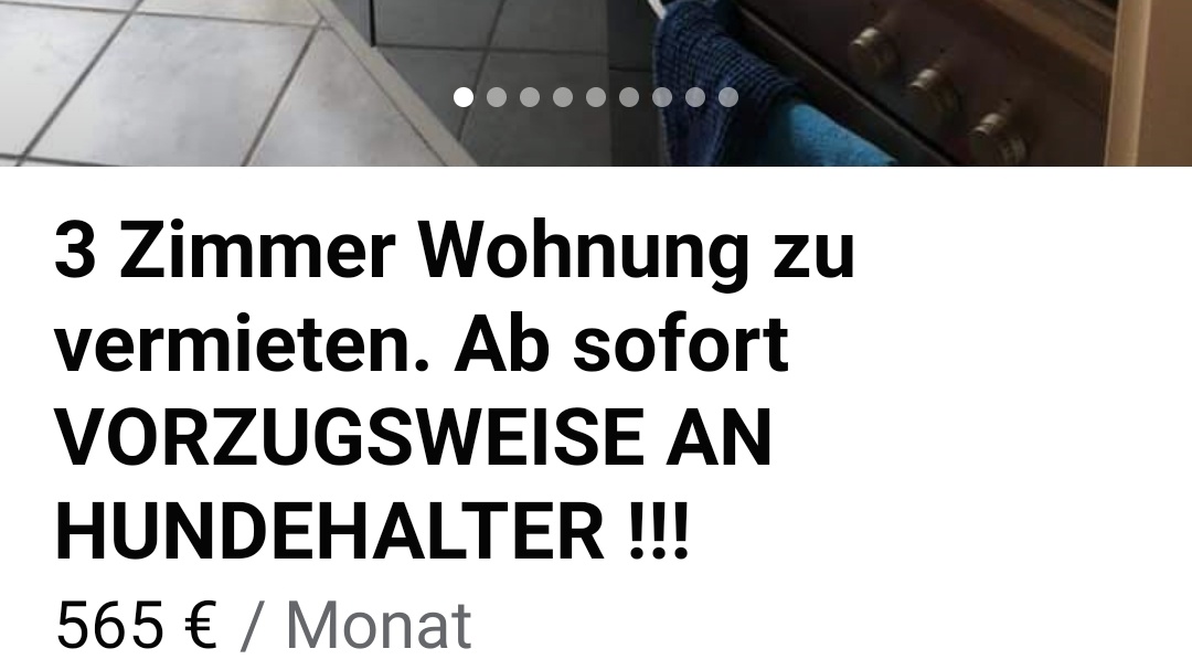 Leiht mir jemand einen Hund zwecks Mietvertragsabschluss? 🐕