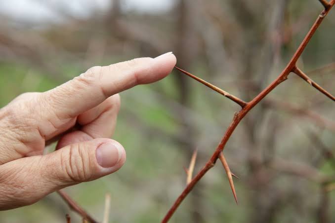 You are wired to feel, and sometimes thoughts like"it could have been me" can creep in.For this reason it's important to live like mortality is on the horizon.