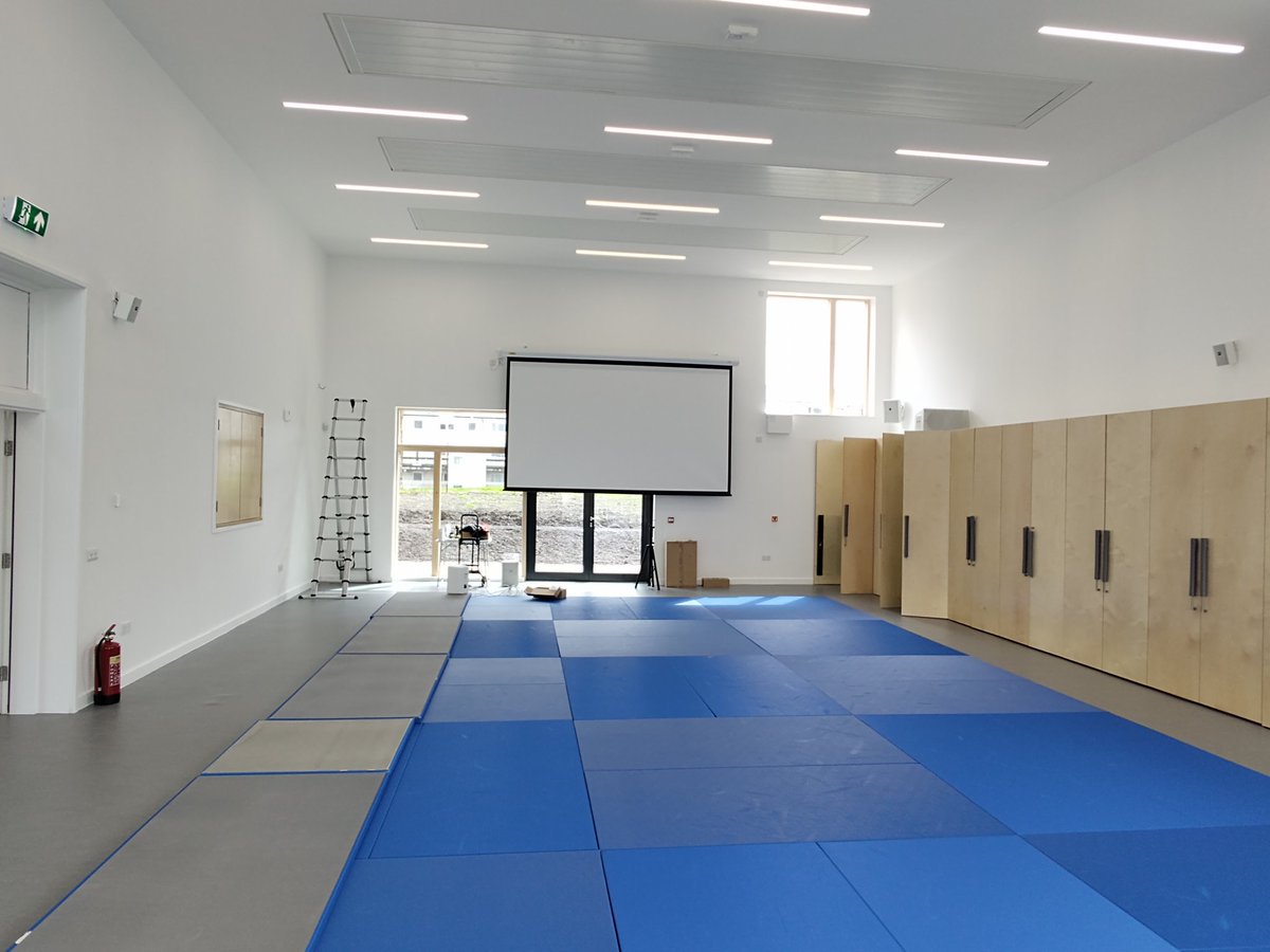 Access Audio Visual tweet media