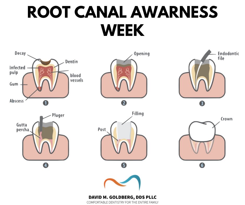 David M. Goldberg, DDS (goldberg_dds) Twitter