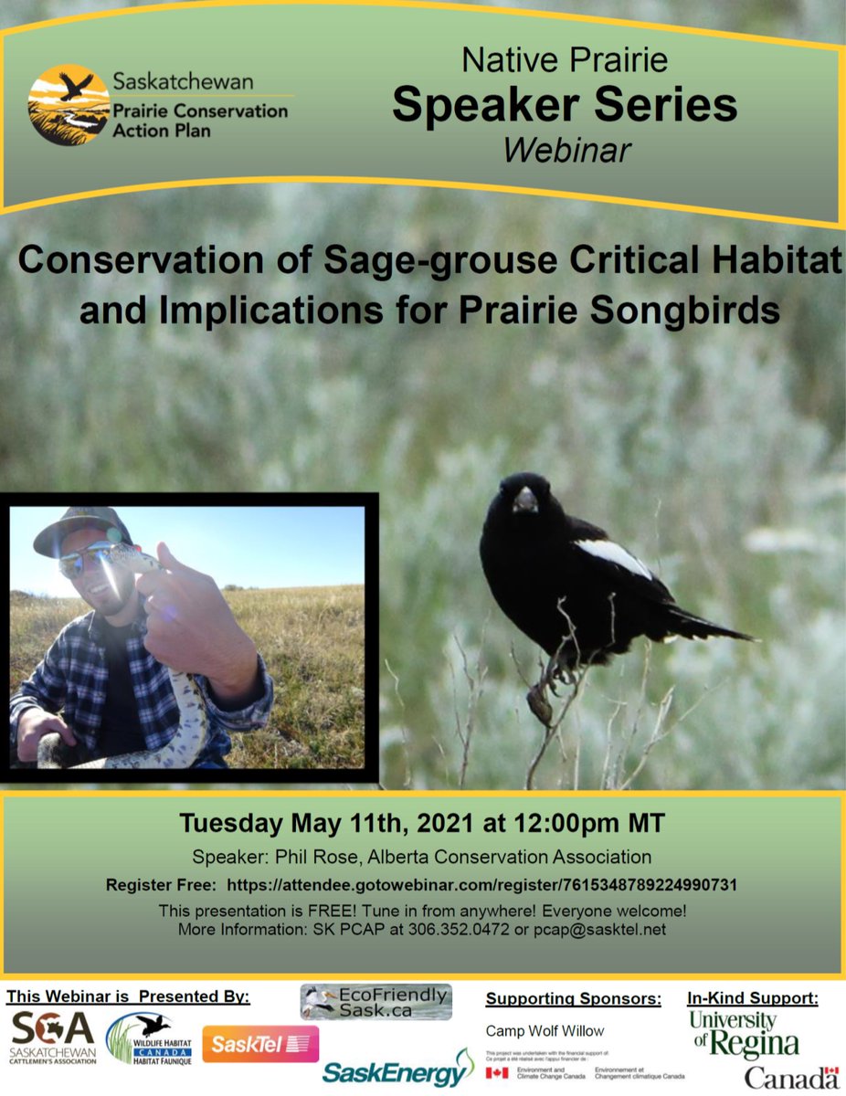 Tomorrow's webinar is about Sage-grouse and Songbirds! 12pm-1pm! 
Register Free: 
attendee.gotowebinar.com/register/76153… 

Alberta Conservation Association 
#nativeprairie #pcapprairie #conservation #sagegrouse #nature4all #wildlife #birds #birdwatching #birdsofig #sasklife #albertalife