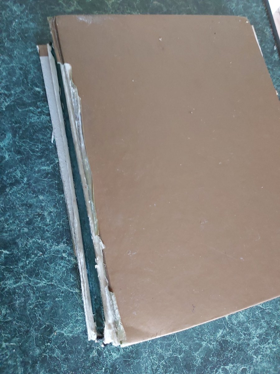 Amanda Dale tweet media