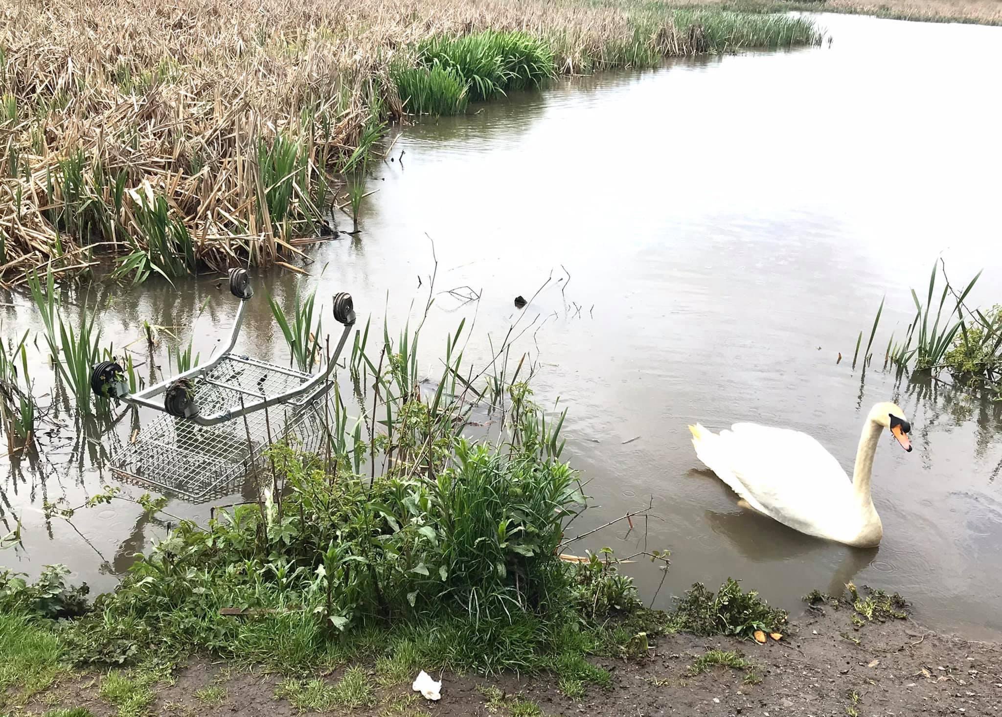 Cwmbach Community Wetlands on Twitter "We are really upset that this